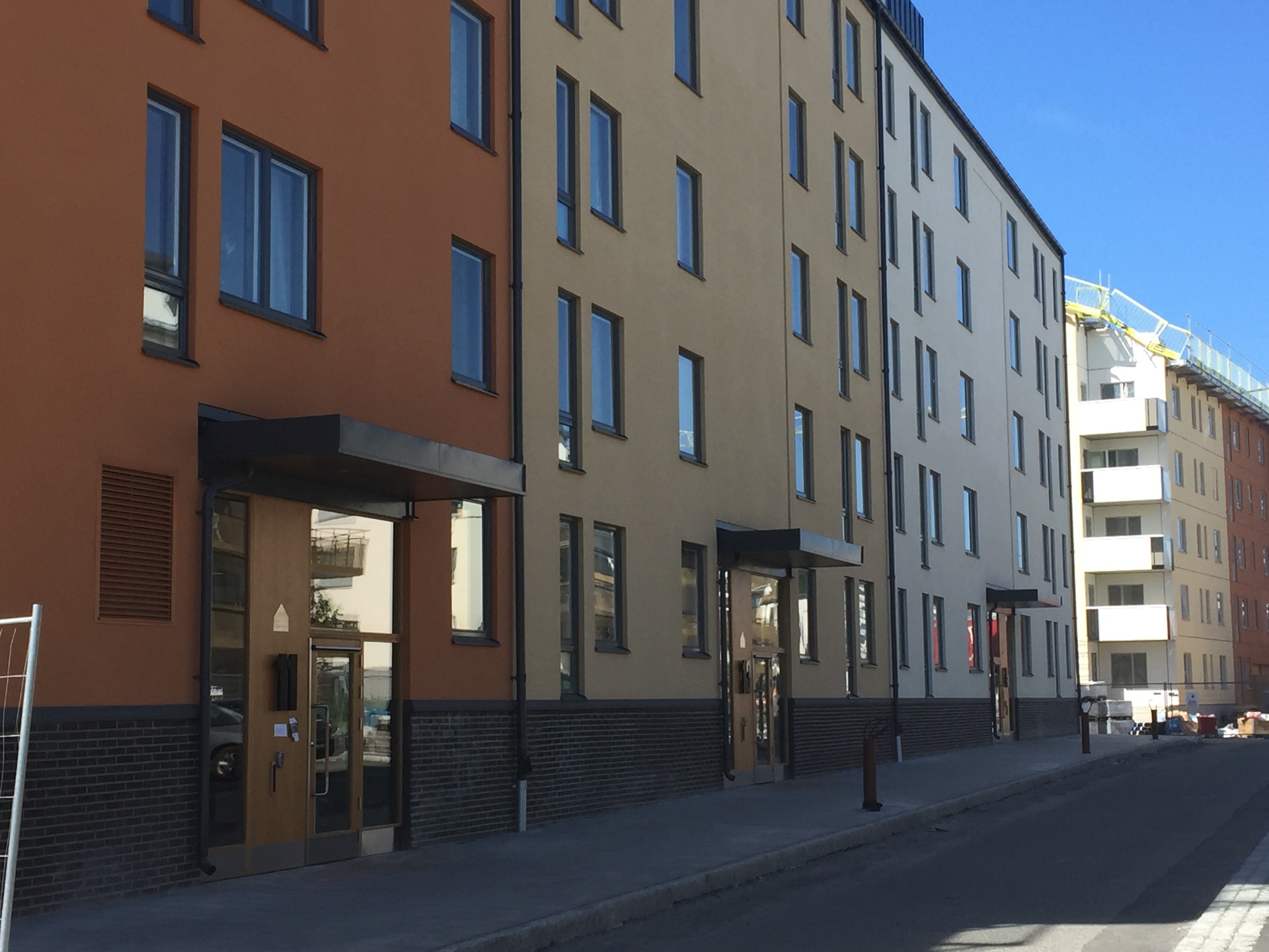 Liljekonvaljen – bild 4